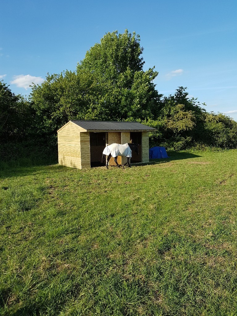 Horse Grazing Land for Rent 7 Acres with Field Shelter, Nettleham