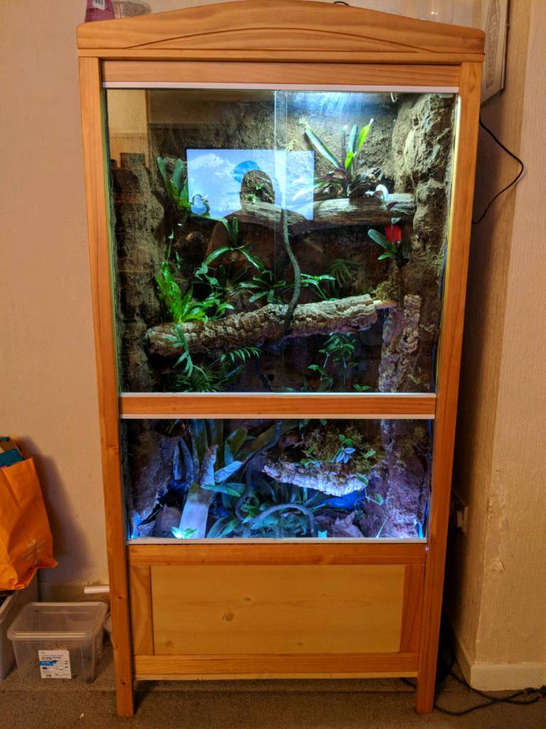 Huge custom build vivarium in Preston, Lancashire Gumtree