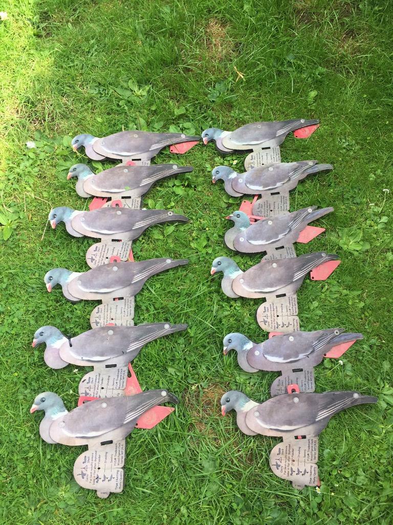 Pigeon decoy 12 NRA fold up decoys FUDs in Selby, North Yorkshire