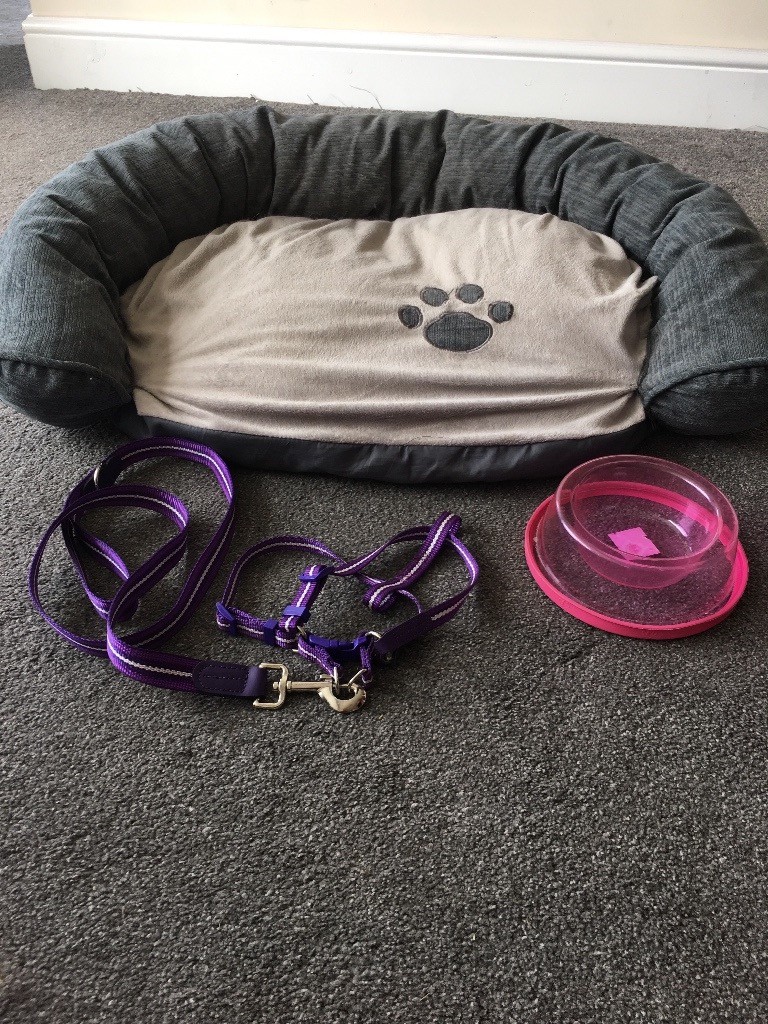 Dog bed, leash, harness and bowl in BlaydononTyne, Tyne and Wear