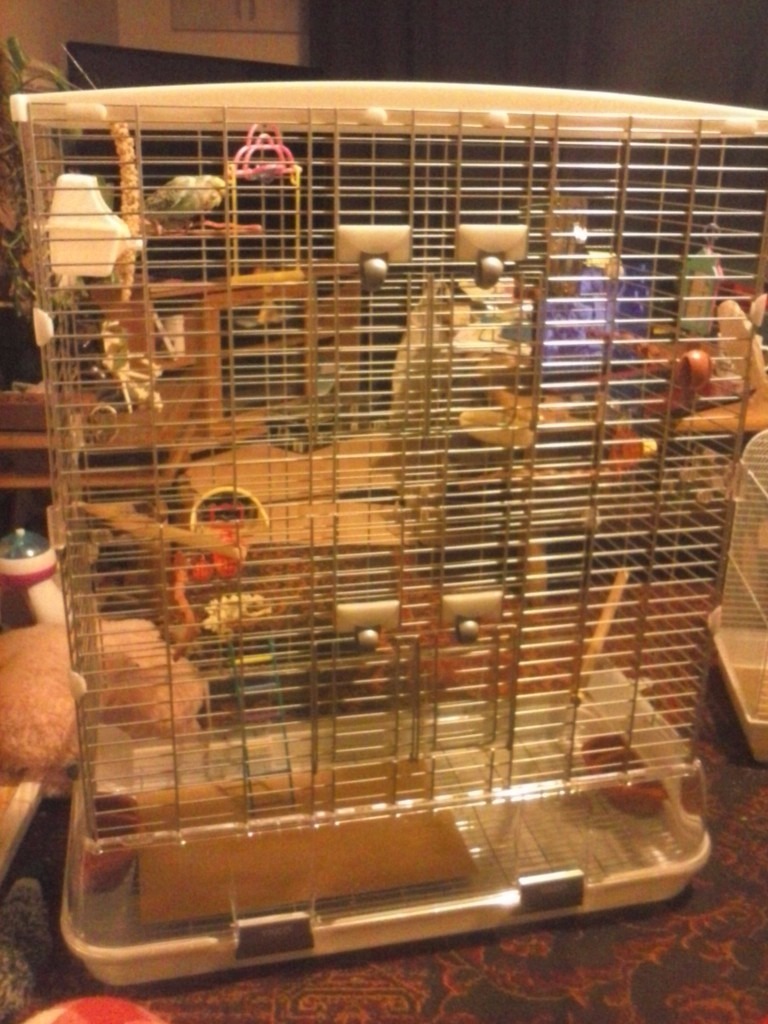 hagen vision L12 bird cage in Bootle, Merseyside Gumtree