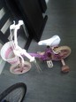 Bike girls bike