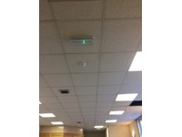 Ceiling Tiles Gumtree