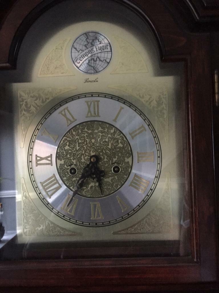 Grandfather clock tempest fugit in Oakwood, Derbyshire Gumtree