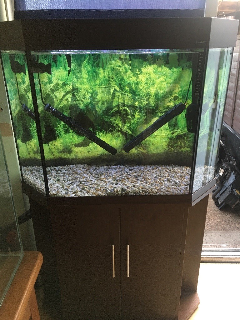 200 litre fish tank for sale! in Cyncoed, Cardiff Gumtree