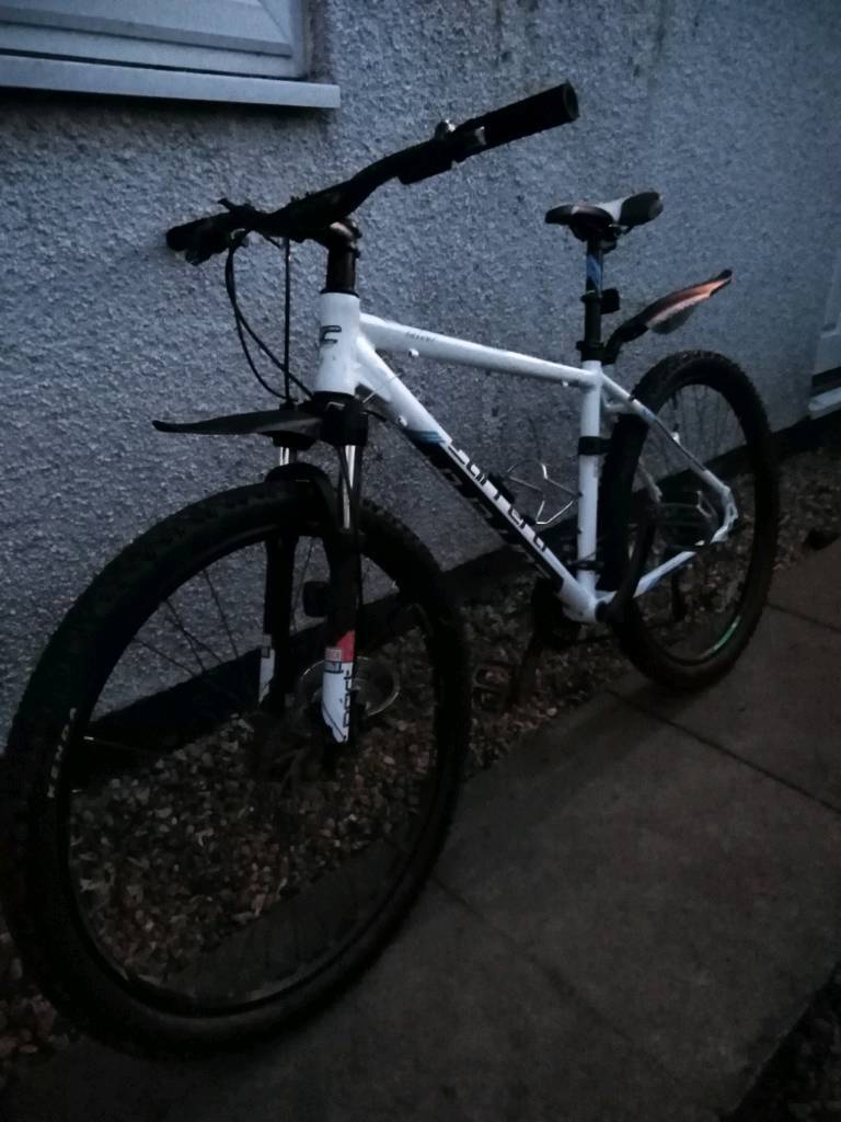 carrera valour road bike