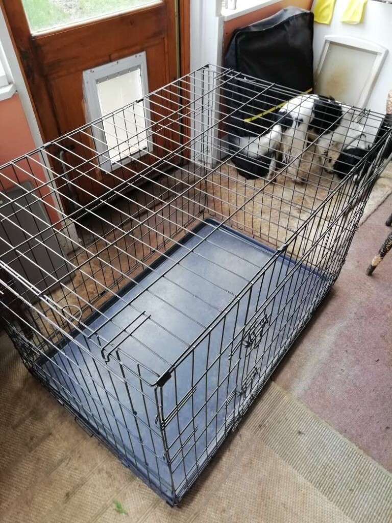 LARGE FOLDING DOG CAGE in Stevenage, Hertfordshire Gumtree