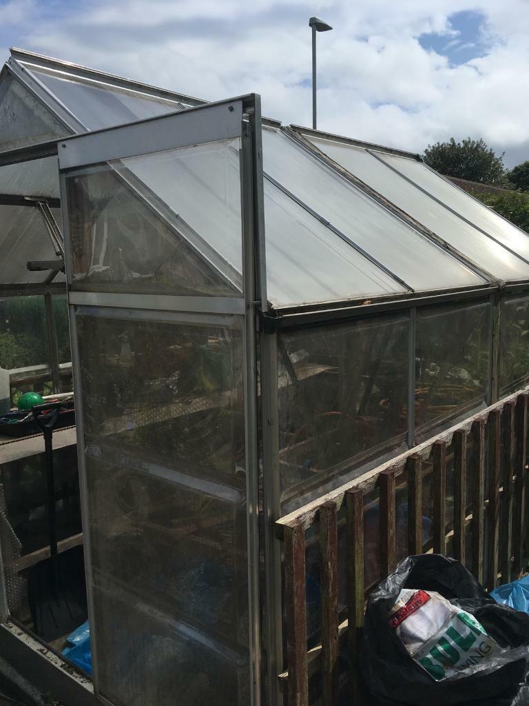 Plastic Greenhouse in Dipton, County Durham Gumtree