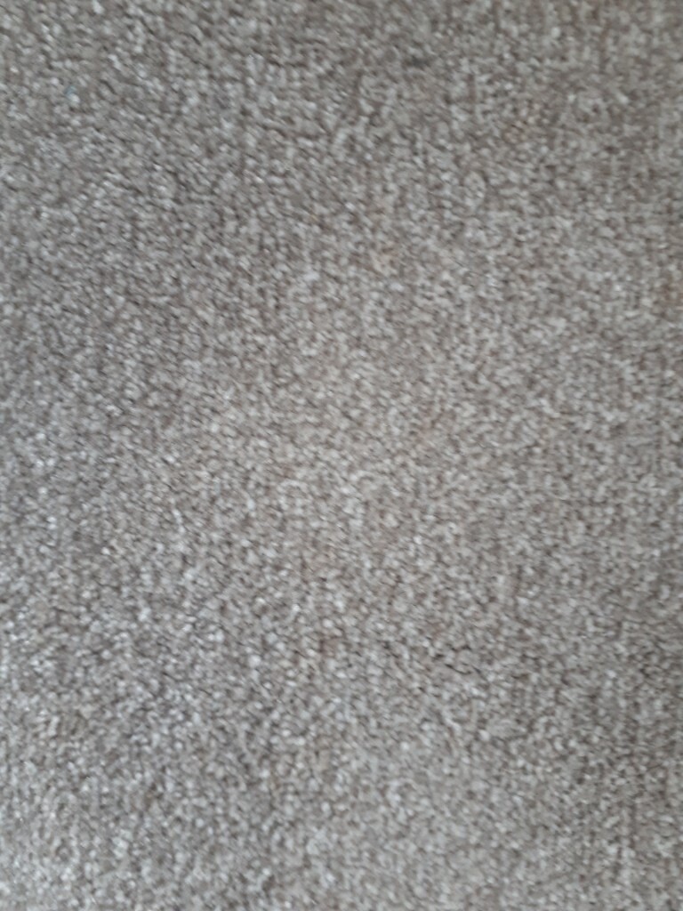 Whipped Carpet into Rug appr 240 x 132cm in Brackla, Bridgend Gumtree