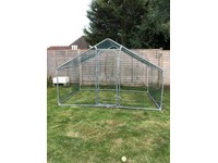 Chicken In Somerset Pets Gumtree