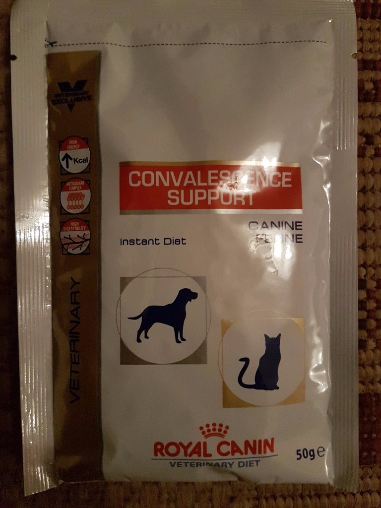 Royal Canin Convalescence Support Food Powder for Cats or Dogs | in ...