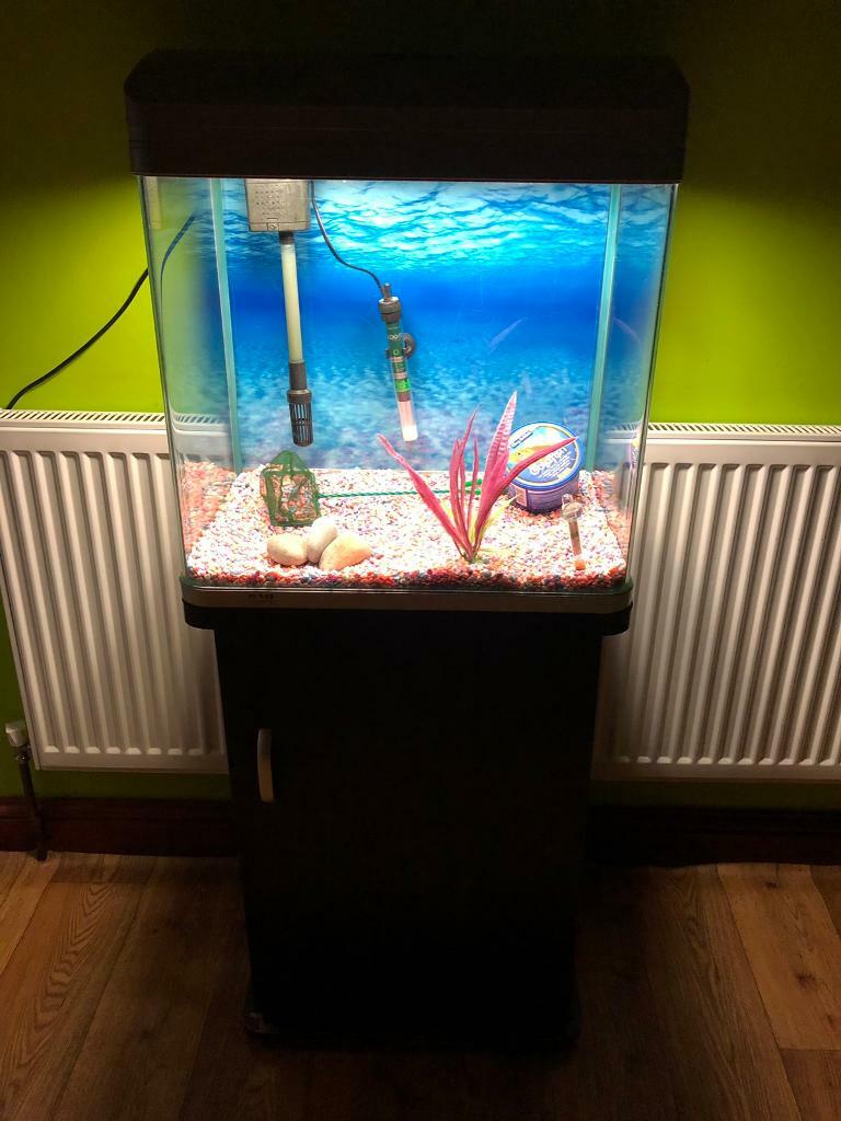 Cube fish tank and stand set up. in Halifax, West Yorkshire Gumtree