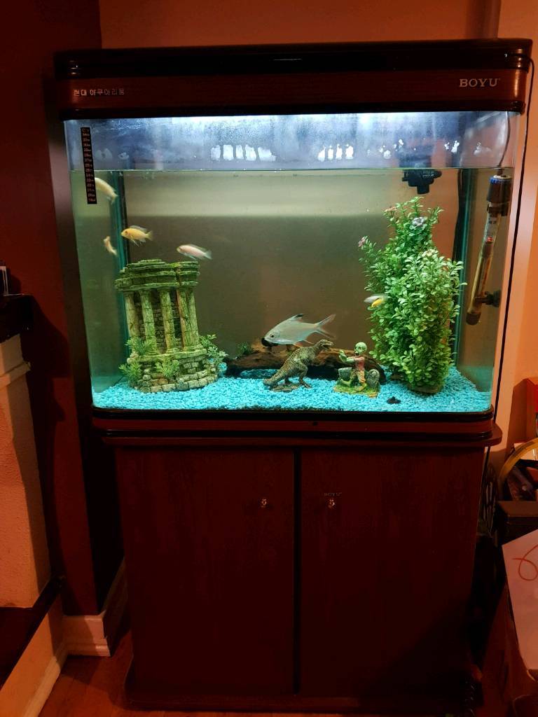 300 litre fish tank in Sunderland, Tyne and Wear Gumtree