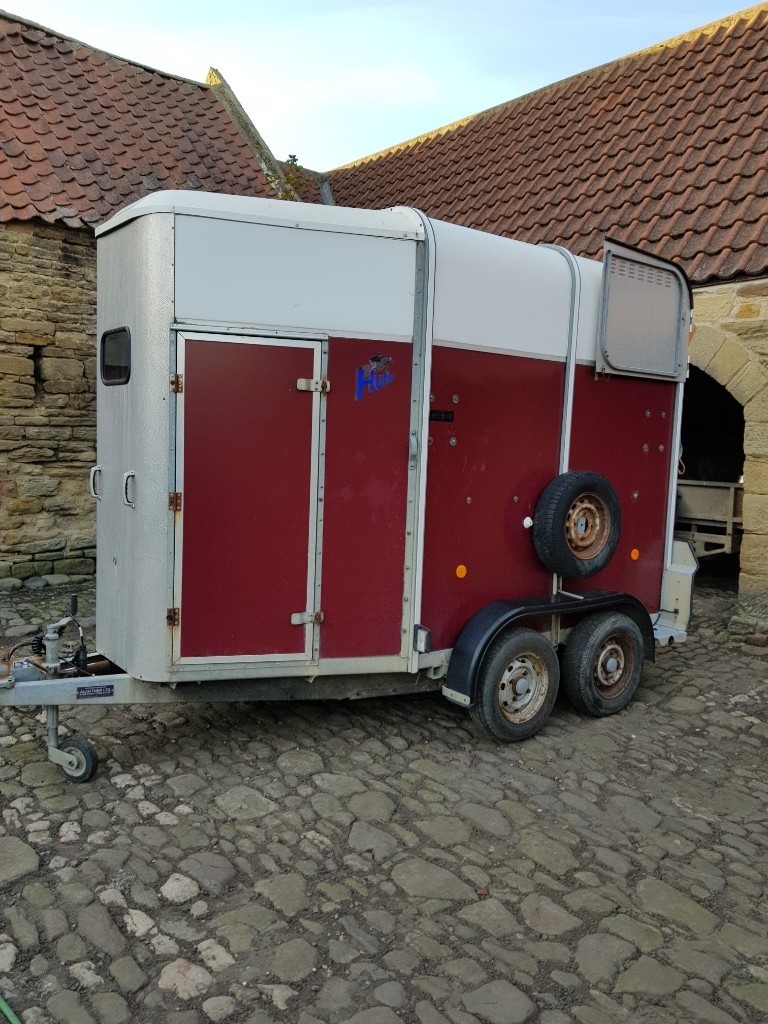 ifor williams 505 horsebox, in Morpeth, Northumberland Gumtree