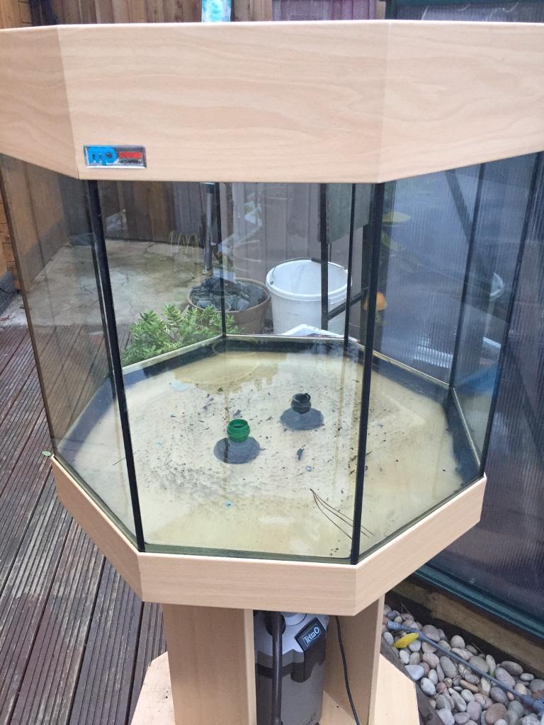 Octagon Fish Tank in Bursledon, Hampshire Gumtree