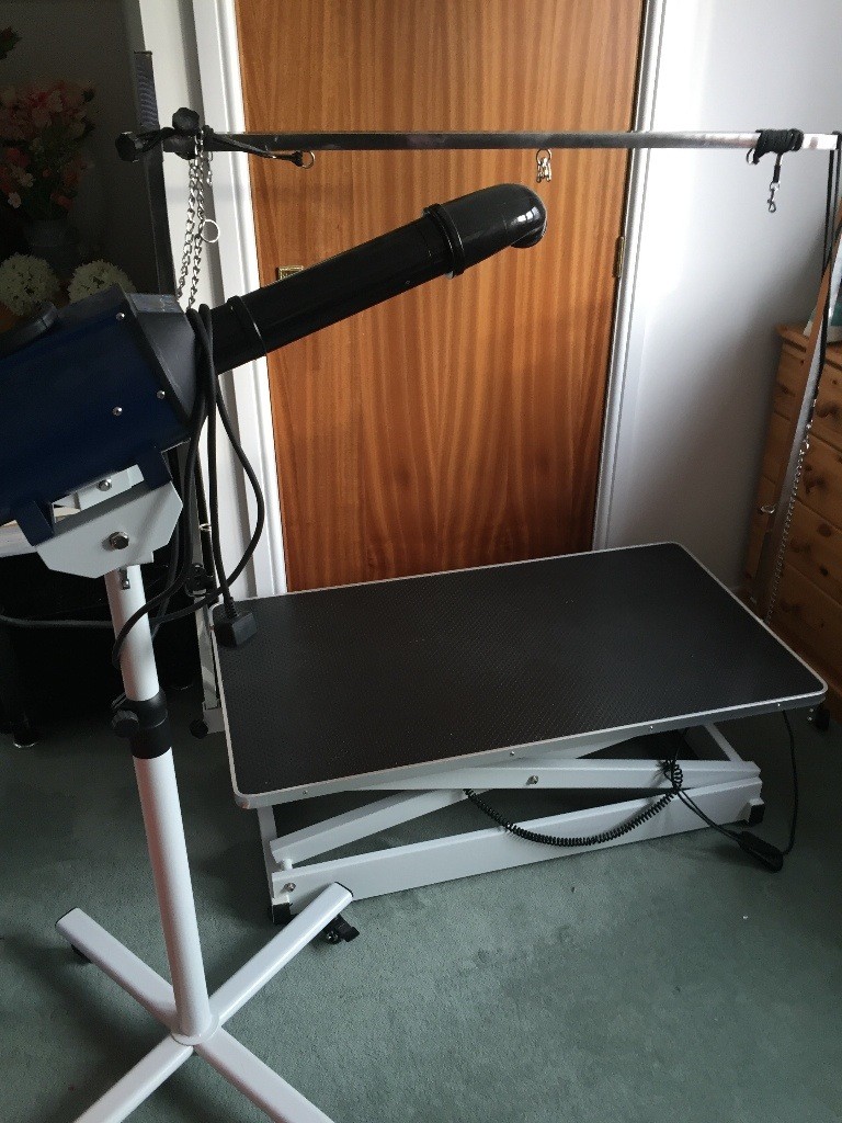 Professional electric dog grooming table and dryer in Turriff