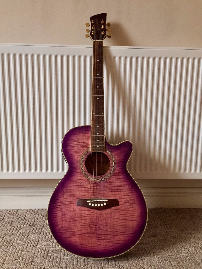 Brunswick Aw600ce Electro Acoustic Guitar in Stoke Newington, London
