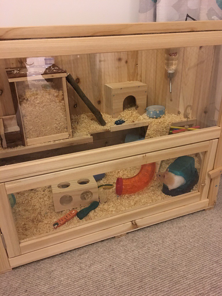 Large Wooden Hamster Cage and Accessories in Kilburn, London Gumtree