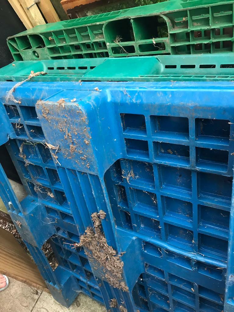 Pallets plastic free in Norwich Norfolk Gumtree