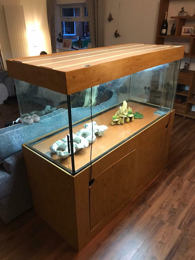 5ft fish tank complete set up in Droylsden, Manchester Gumtree