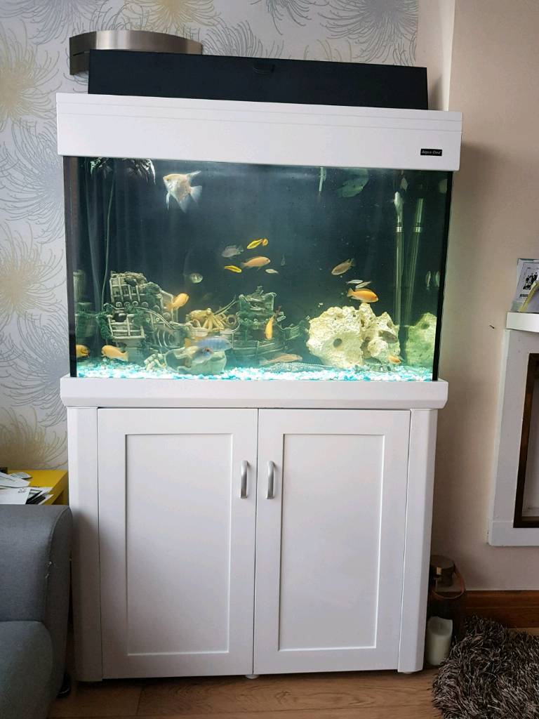 Aqua one 350 liter Fish tank and Stand For Sale in Trafford