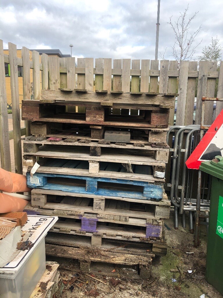 Free pallets in Cyncoed, Cardiff Gumtree