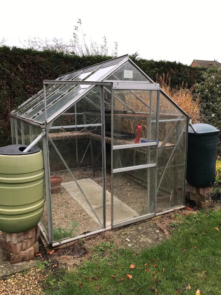 Greenhouse 190cm x 257cm in Norwich, Norfolk Gumtree