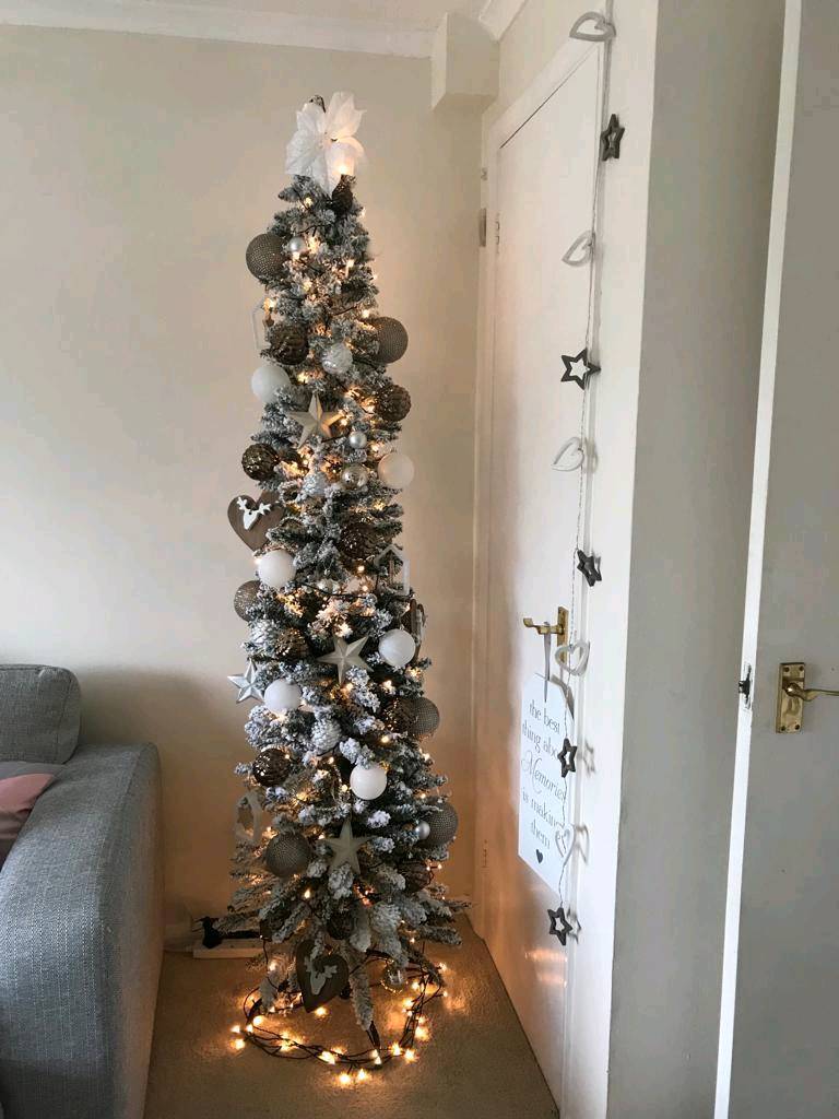 6 5ft Alaskan Frosted Slim Christmas Tree In Bournemouth Dorset