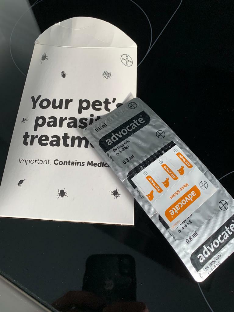 Advocate Cat flea treatment in Norwich, Norfolk Gumtree