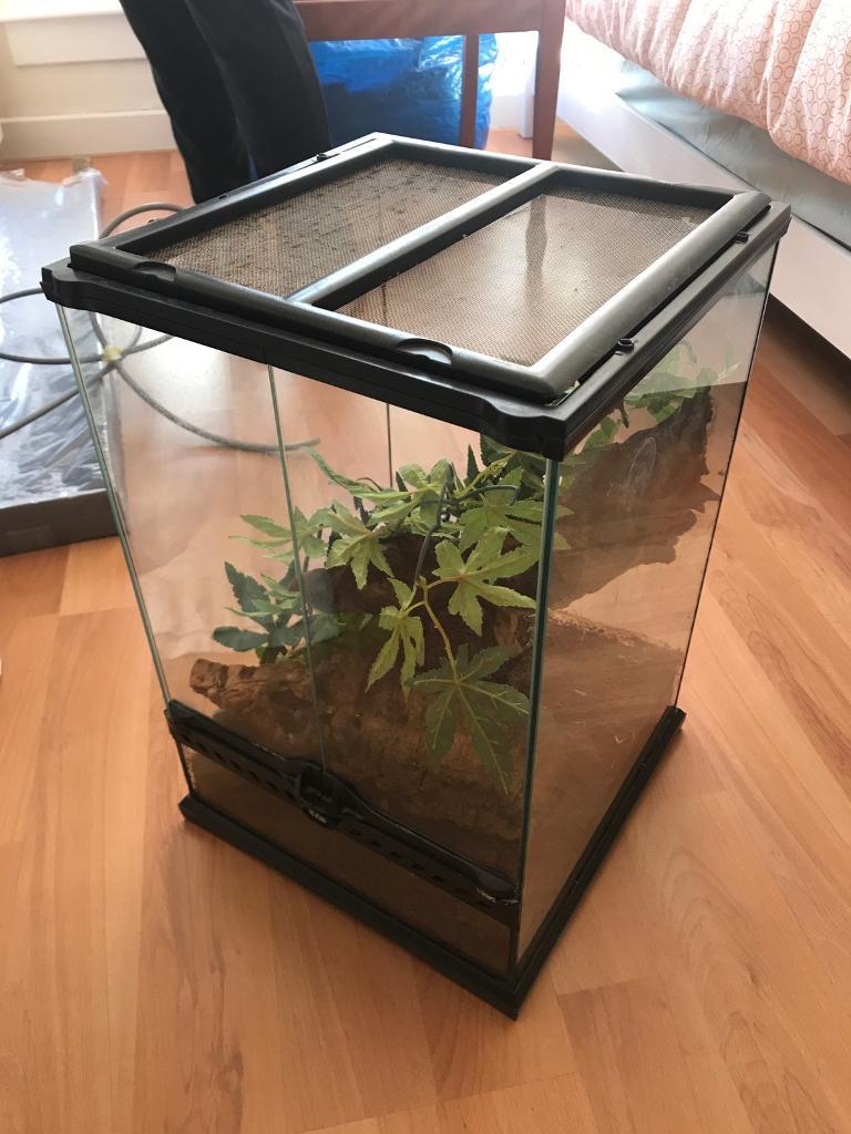 Exo-Terra Vivarium 30*30*45cm with Canopy Light and False ...