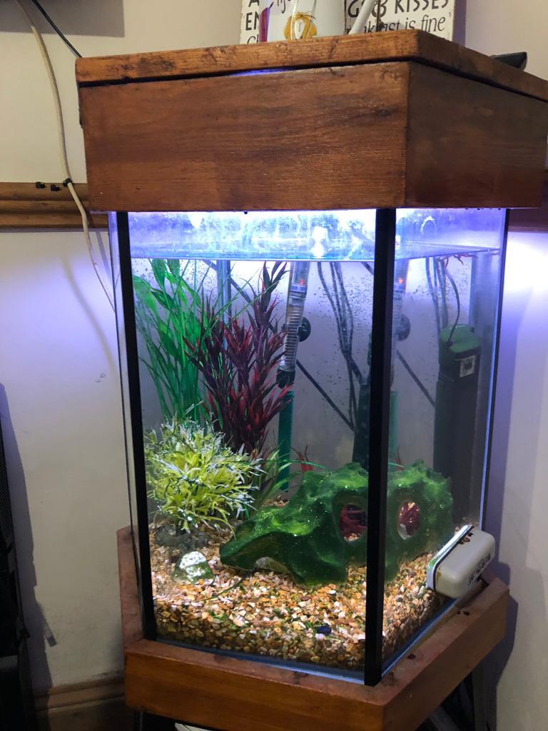 Hexagon fish tank. in Llanelli, Carmarthenshire Gumtree
