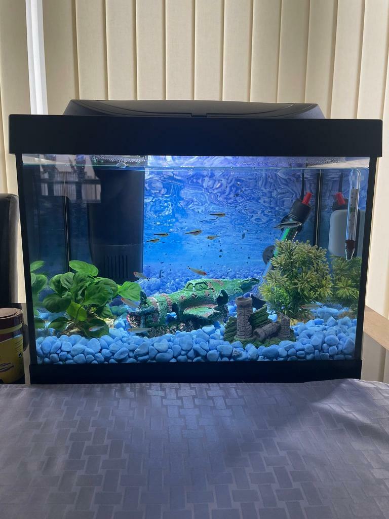 30L fish tank in Dalkeith, Midlothian Gumtree
