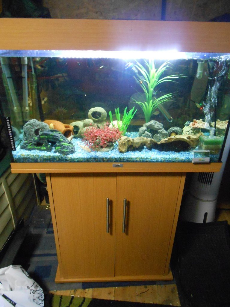 Juwel Rio 125 litre aquarium with stand everything for tropical in