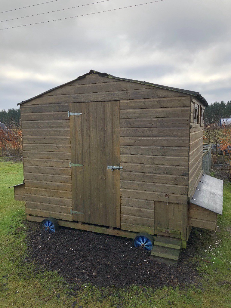 Dogs For Sale In Plymouth Devon Gumtree