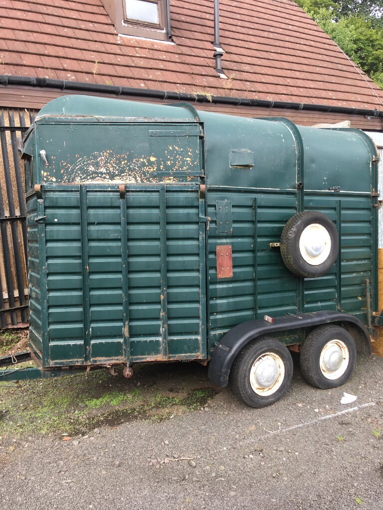 rice horse box in Perth and Kinross Gumtree