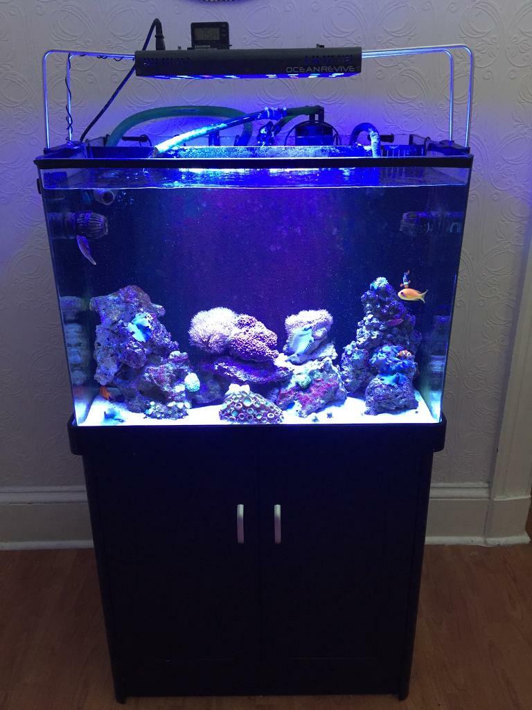Aqua One Marine Tank Aquarium Full Setup Black in Southside