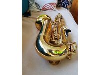 Alto saxophone Trevor James the horn classic ii #220