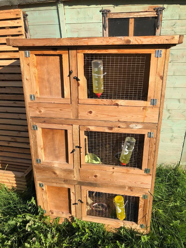 3 story rabbit / guinea pig hutch in KirkbyinAshfield
