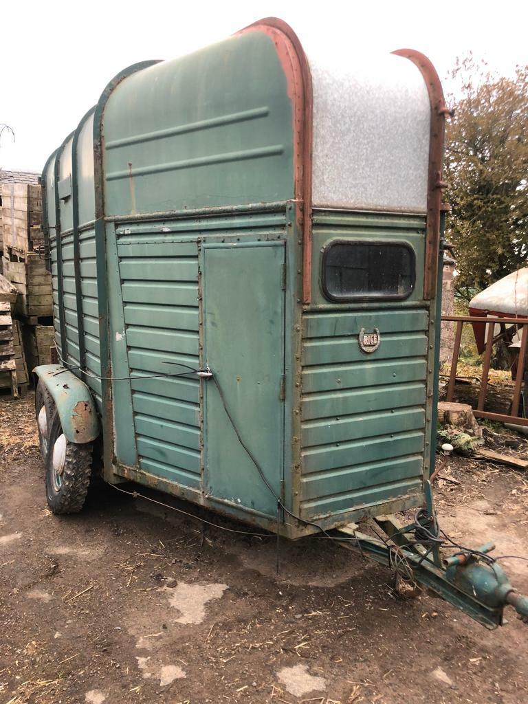 Rice Horsebox in Alyth, Perth and Kinross Gumtree
