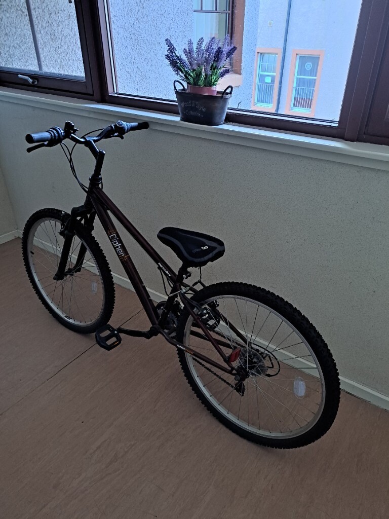 junior mountain bike 26