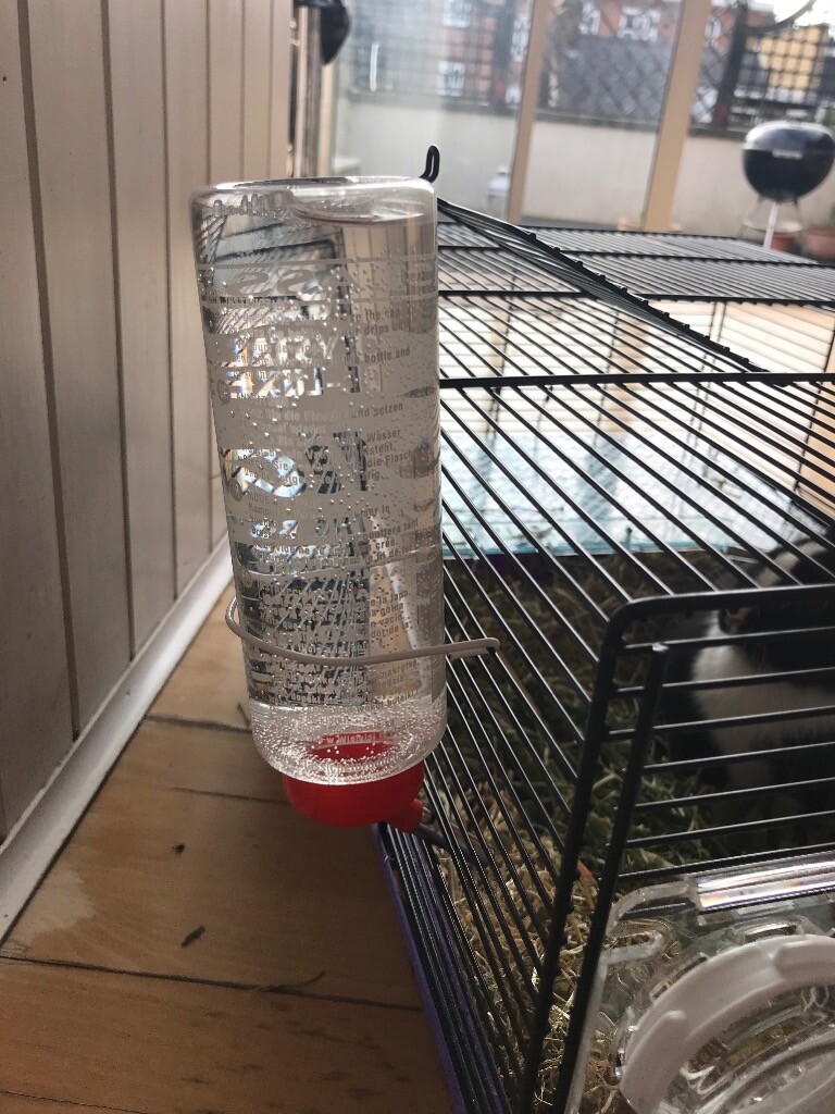 Small animal (rabbit, guinea pig) water bottle in Vauxhall, London