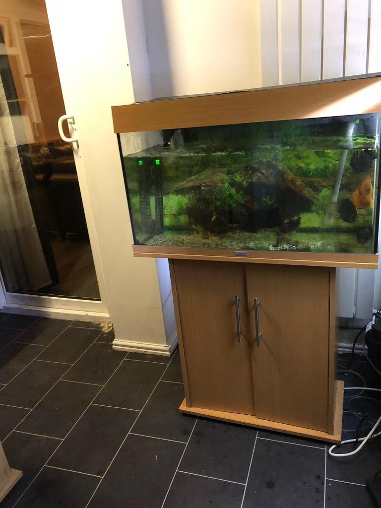 Juwel Rio 125L FUSH TANK AQUARIUM COMPLETE SETUP in Rochdale