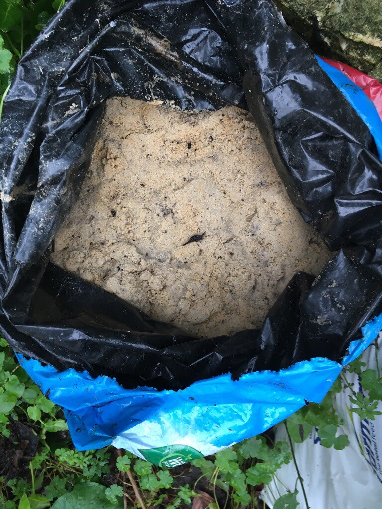 11 x Free small bags of builders sand in Lyme Regis, Dorset Gumtree