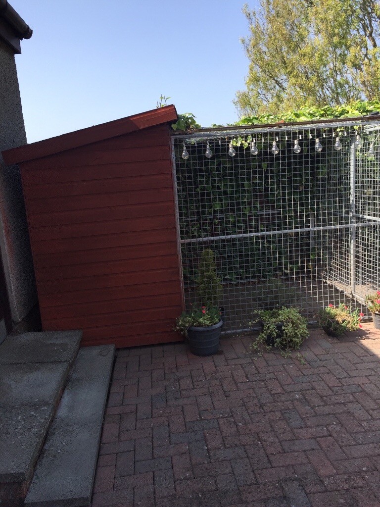 Dog kennel with enclosed run in Newburgh, Fife Gumtree