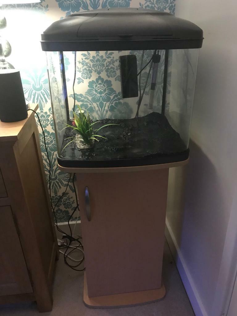 Fish box fish tank in Durham, County Durham Gumtree