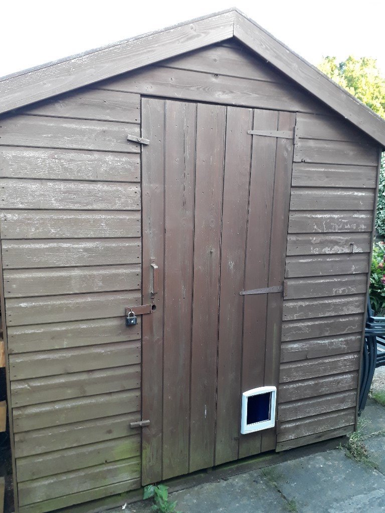 Garden shed 8ft x 6ft apex roof single door good condition