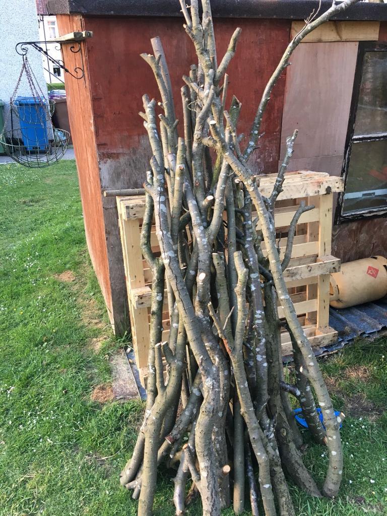 free fire wood | in Carntyne, Glasgow | Gumtree