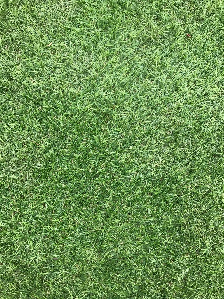 Astro turf for sale in Ribbleton, Lancashire Gumtree