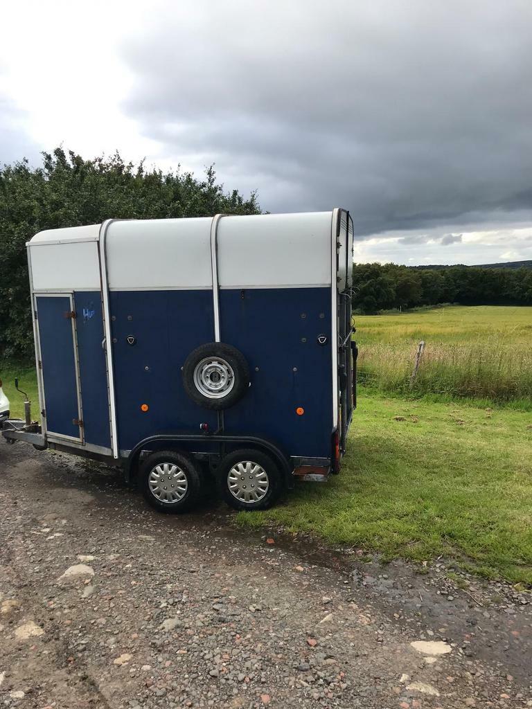 IFOR WILLIAMS 505 HORSE TRAILER XXSOLDXX in Ayr, South Ayrshire Gumtree