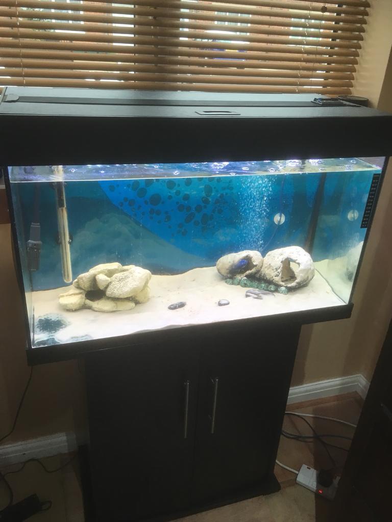 Juwel 125 litre Aquarium complete with Stand and Aqua One led